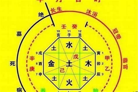 大運神煞|八字大运神煞代表什么意思 (大运神煞和四柱神煞的区别)